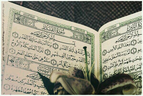 حساب مخصص للأدعية واﻻذكار صدقة جاريه لموتى المسلمين ‏‏اللهم ارحمهم واكرم نزلهم ووسع مدخلهم واجعل قبورهم روضة من رياض الجنة .‏
