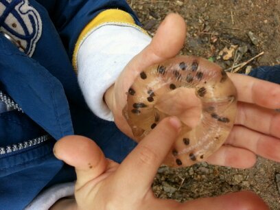 qalc7233's profile picture. 