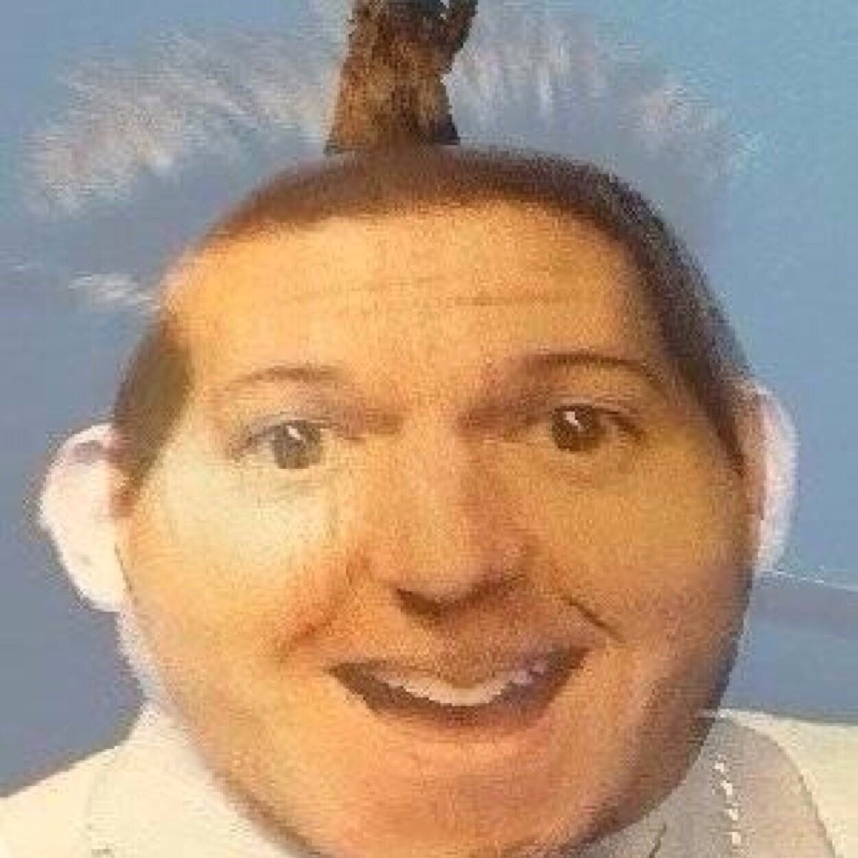 rickydillonion's profile picture. i morphed ricky with an onion and called it dillonion