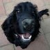 Eileen 🇦🇺🎾🇦🇺 (@eileen_1956) Twitter profile photo Eileen 🇦🇺🎾🇦🇺 (@eileen_1956) Twitter profile photo