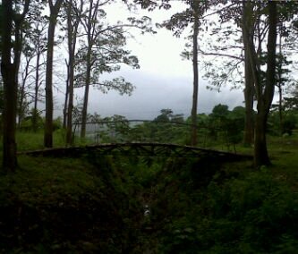 Bertha_Rodri19's profile picture. 