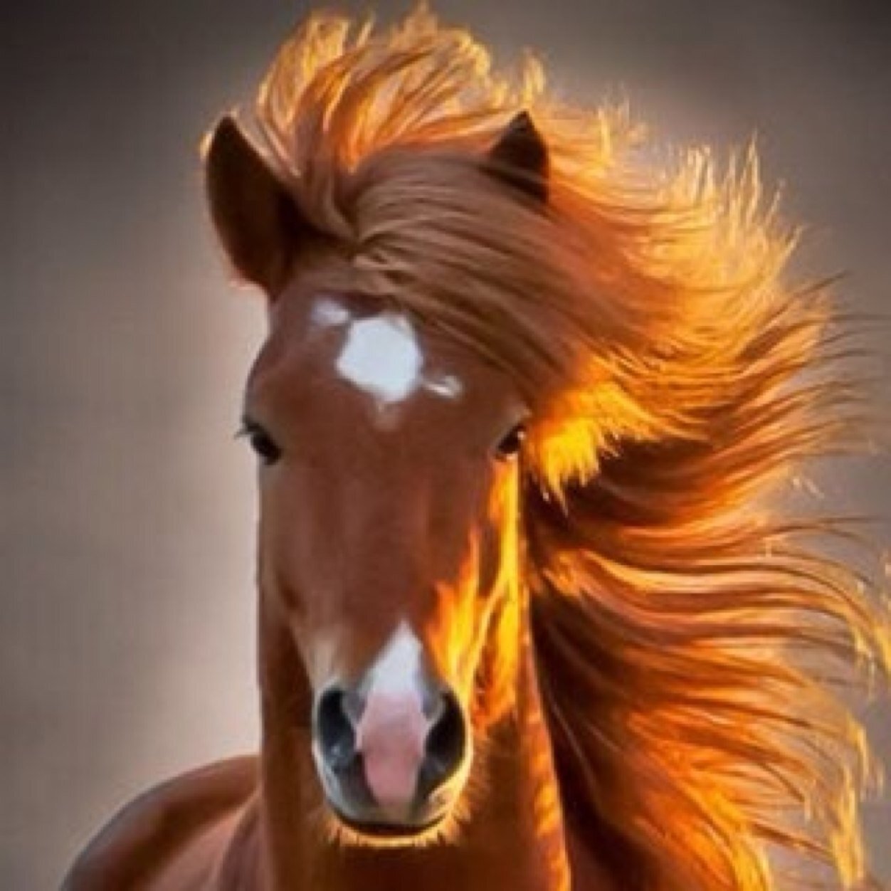 @k_alhelal