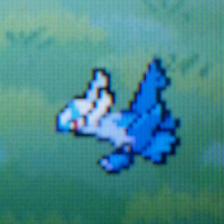 Kennard Johnson (violet_latios) Twitter