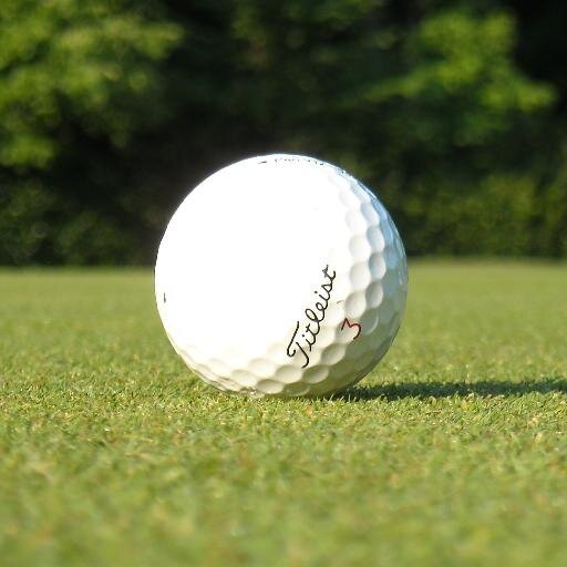 28 years as a Golf Course Superintendent. 
Owner of Southern Turf Tech a Redox Turf distributor.
https://t.co/lkTML1O7u1