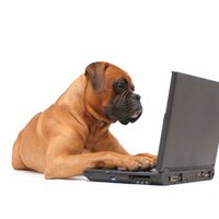 Allan Pratt, MBA (@tips4tech) 's Twitter Profile