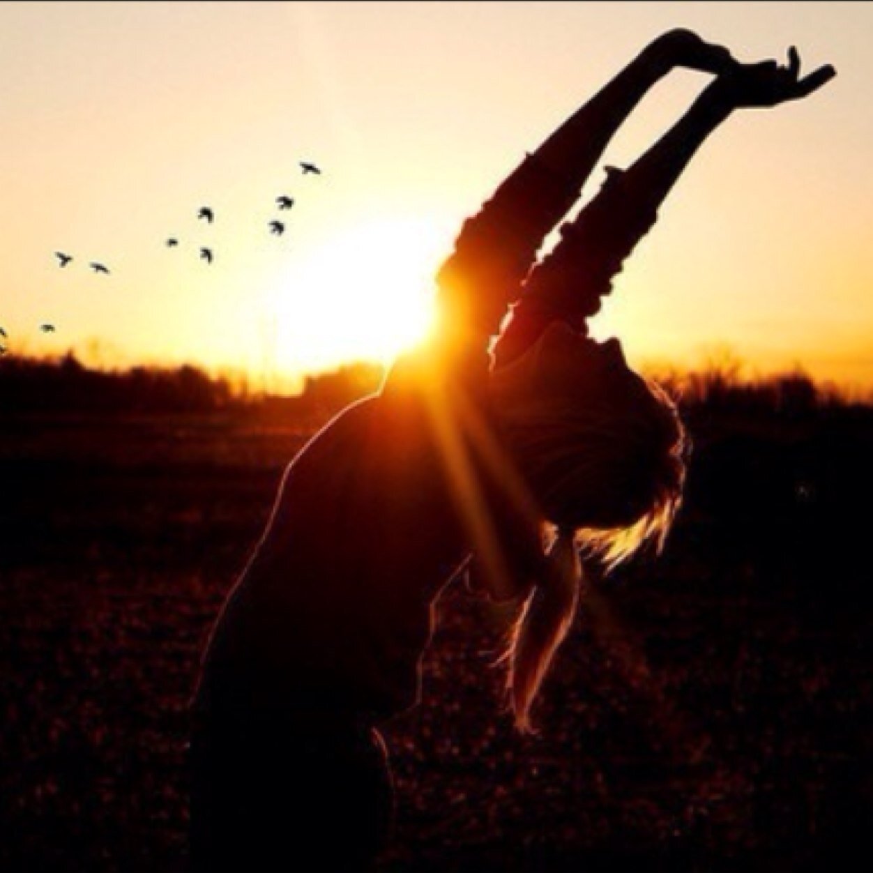 agirlwithaheart's profile picture. ღ ƒαι†h ✝ ѕтαу нυmвℓє ヅ вє нαρρу! ❤️