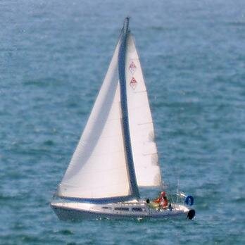 MyRedondo's profile picture. News in #RedondoBeach, California.  Edited by Nicole Mooradian. This account is neither affiliated with nor endorsed by the city of Redondo Beach.