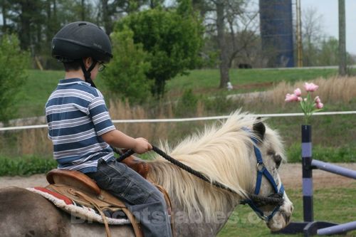 We offer therapeutic horseback riding for kids and sdults with special needs. Our barn is in Cumming, GA about 45 minutes north of Atlanta, GA