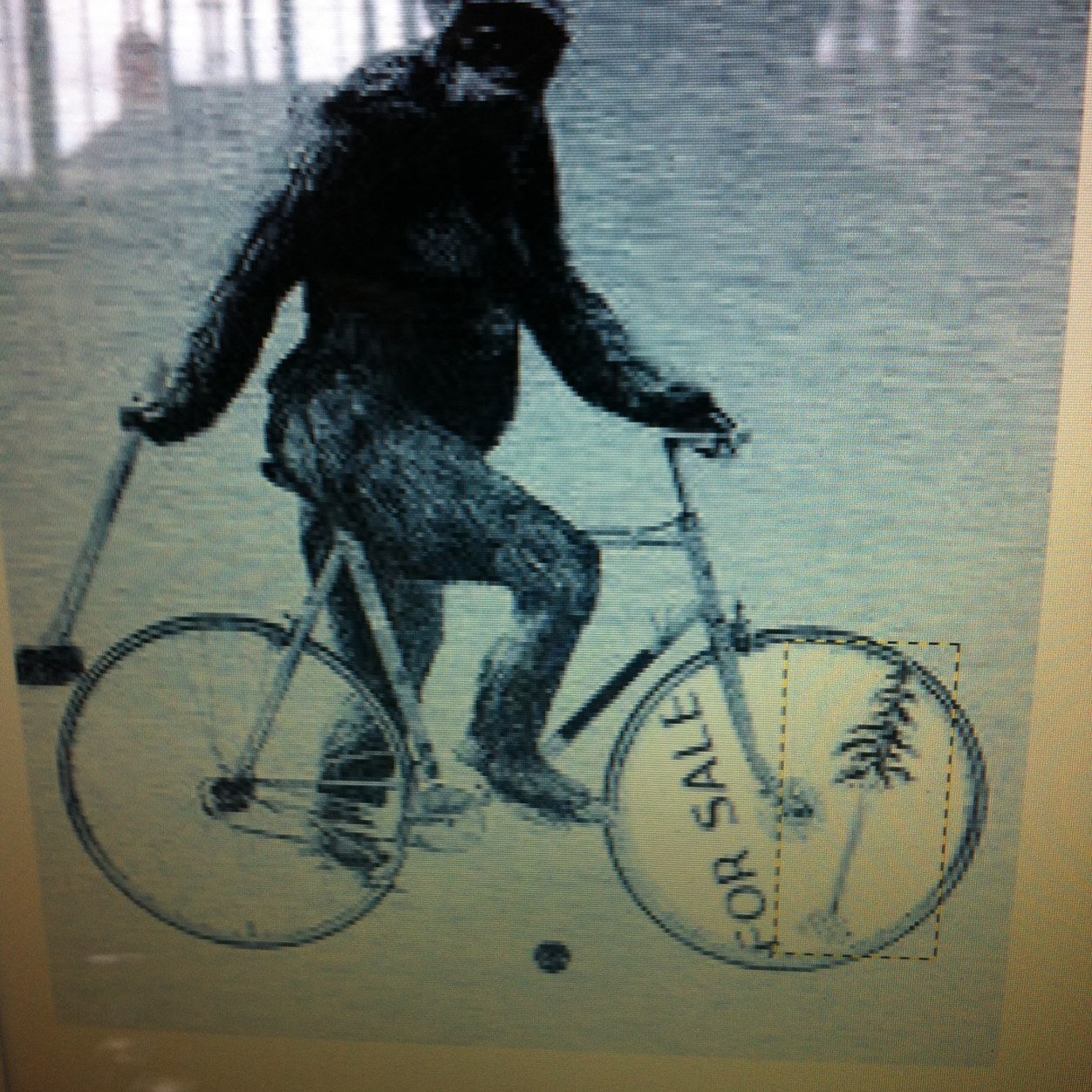 Stoiling's profile picture. 