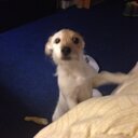 Loretta Marshall - @1130loretta - Twitter