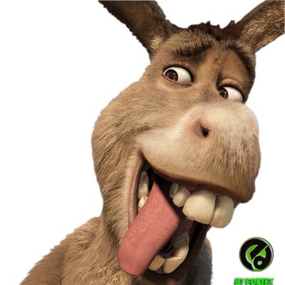 El Burro de Shrek (@ElBurrodeShrek1), Twitter