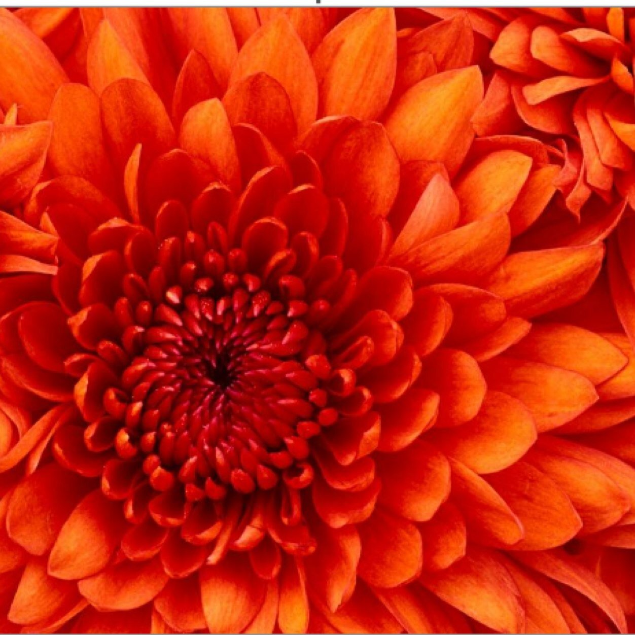 KT9931946's profile picture. 