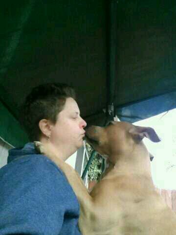 @NevaehRatekin mommy #AdoptDontShop. I  RT animals who need homes #animalwarrior #Teamanipals