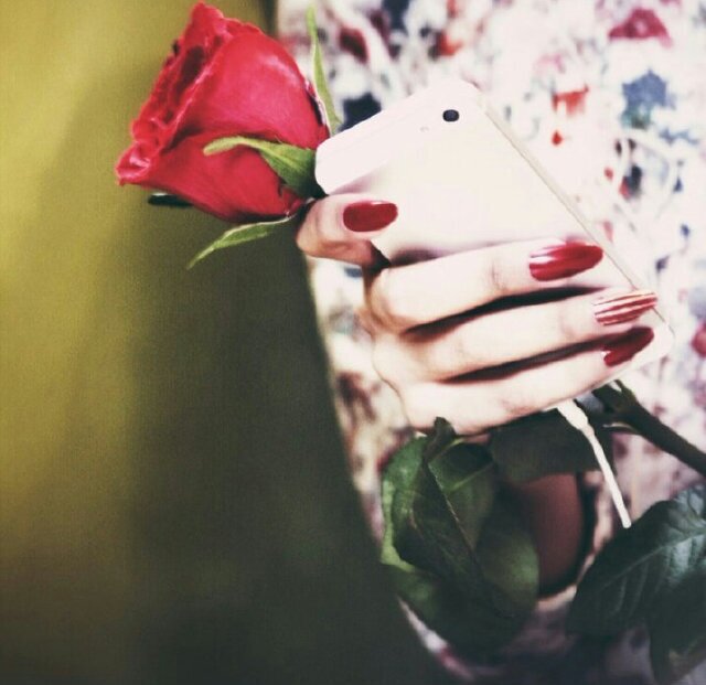 SheikhaAlkandi's profile picture. ‏↓ ﻛل ﺷيء ..  ﺳوآء گآن رغبه عآديہ ﺂو حلمآ مسٺحيلآ.. ﺂو حٺى ﺂمنيہ سريہ صغيرةُ ! ٺزدآد ﺂمكانيةُ ٺحقيقہآ ﺂذآ گآن مكونہآ ﺂﻟ̲أساسي نيہ بيضآء صآدقہ ♥