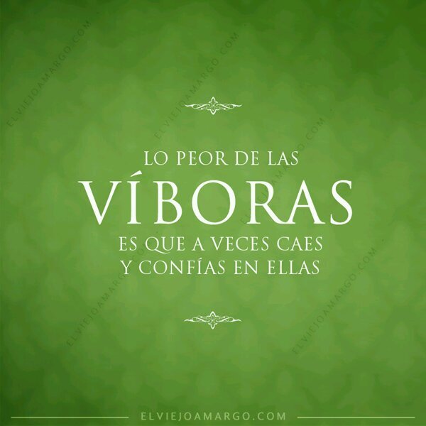 jf56120533's profile picture. 