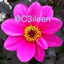 Eileen Chow - @C3ileen - Twitter