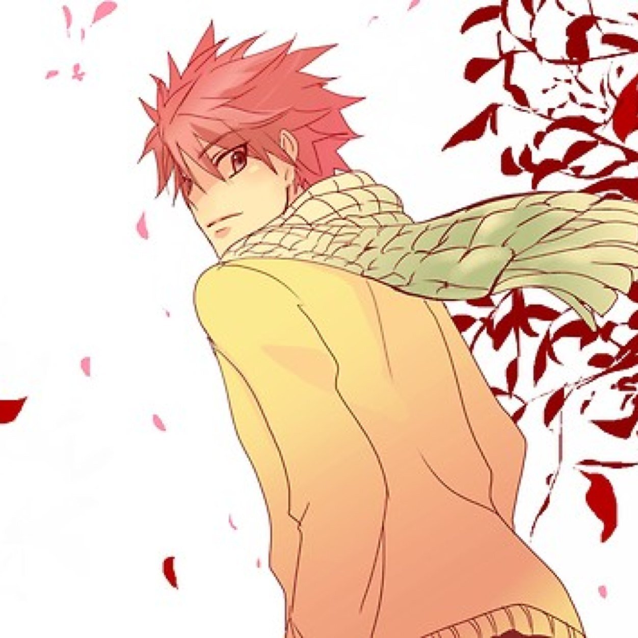 The Name is Natsu Dragneel. I go to Fairy Tail Academy in Magnolia, Fiore. I do have a blue cat named Happy, if your wondering.|#FTAURP|