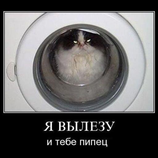 Постоянно что-нибудь химичу