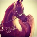 Toome ♡ (@22wafya) Twitter