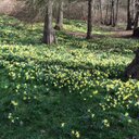 Penny Doherty - @DohertyPenny - Twitter