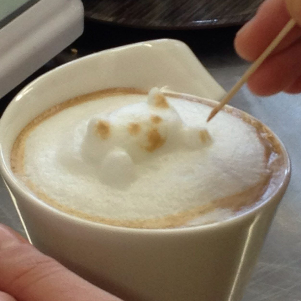 Swiss Coffee Art, 3D Latte Art, Cappuccino Art, Designed by Natali Zadro, Junior Coffee Art Designer