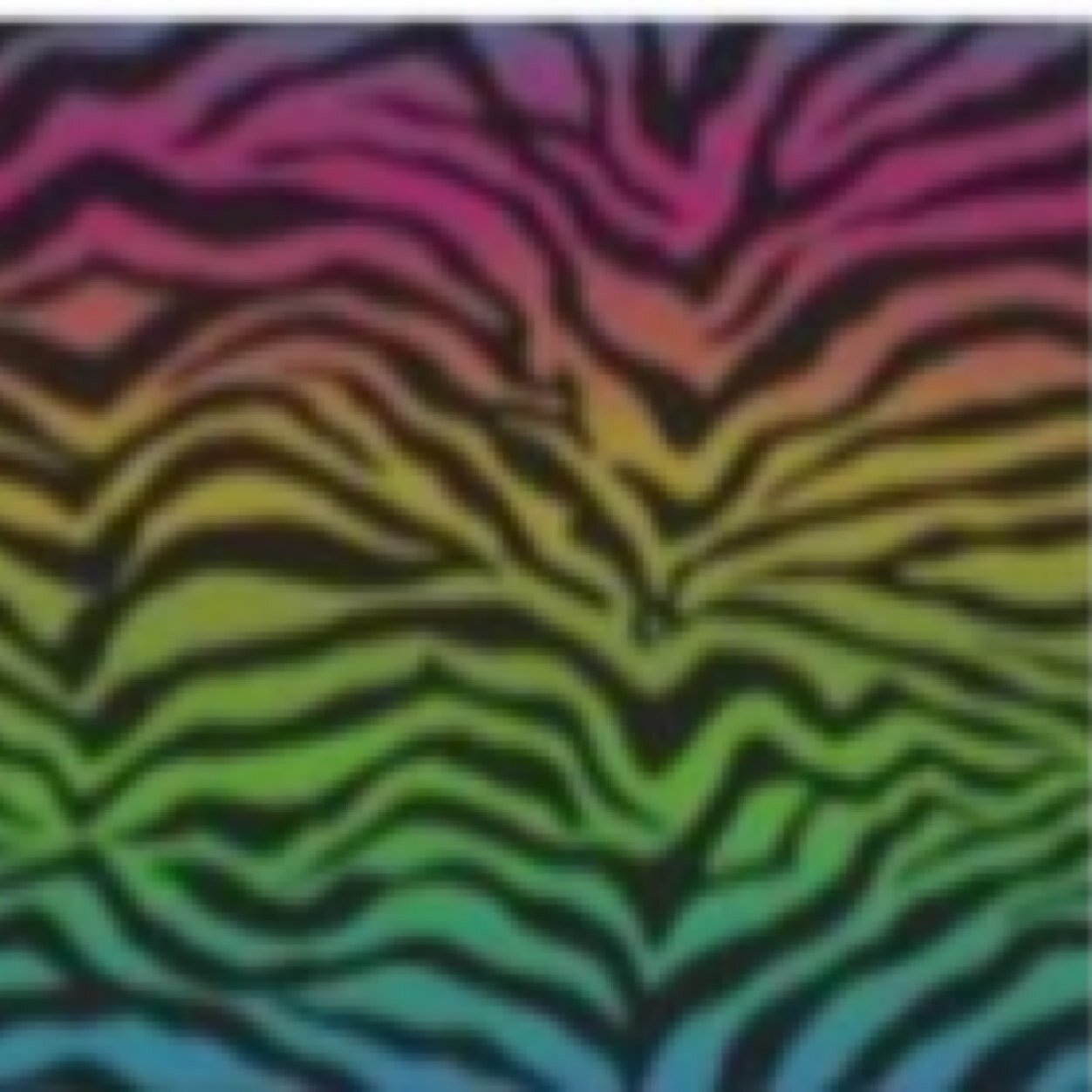 speccamo1999 Profile Picture