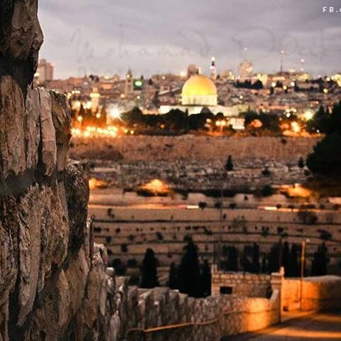 Maqdesyoun Profile Picture