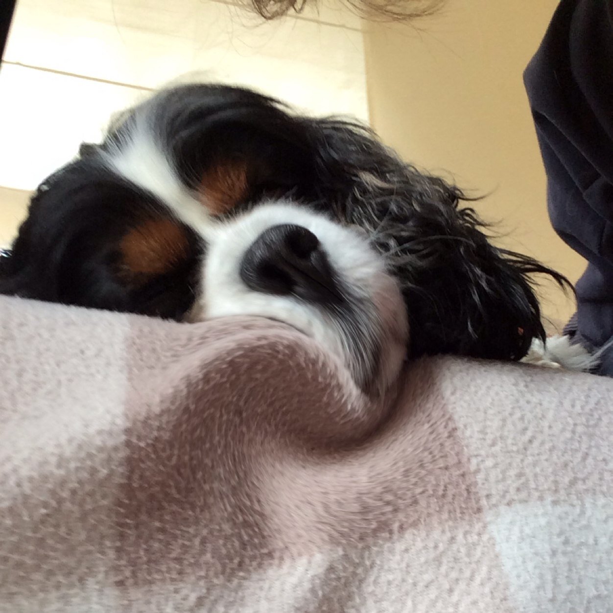 lesleyforde's profile picture. 