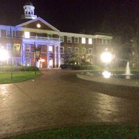 Elon After Dark (@elonafterdark) 's Twitter Profile