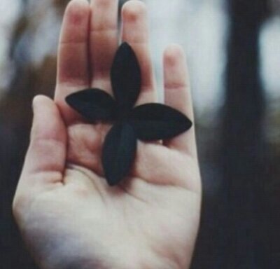 افتح الرابط وحط فولو♥ http://instagram/rfo_11