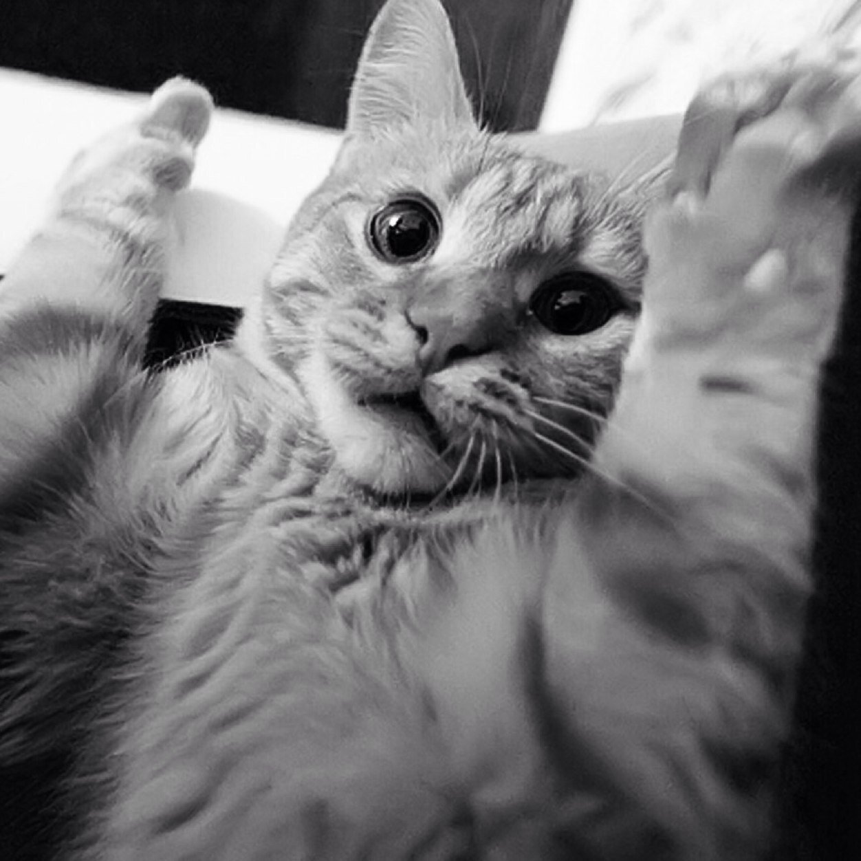Why do people not follow me???