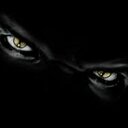 Daniel Baier - @DanielBaier666 - Twitter