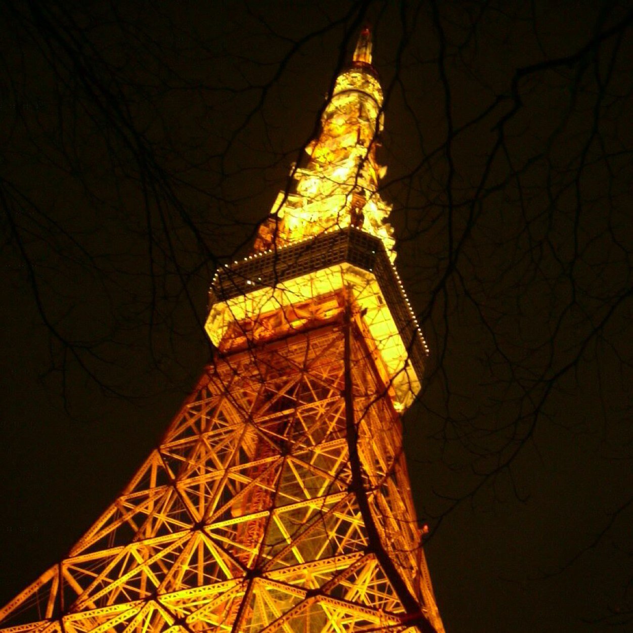 東京の大学生のためのお得情報まとめ♡