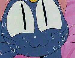 ひめさんのプロフィール画像