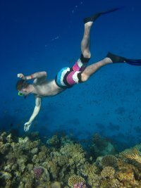 GluschenkoSere's profile picture. 