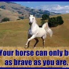 rockymanindian's profile picture. 