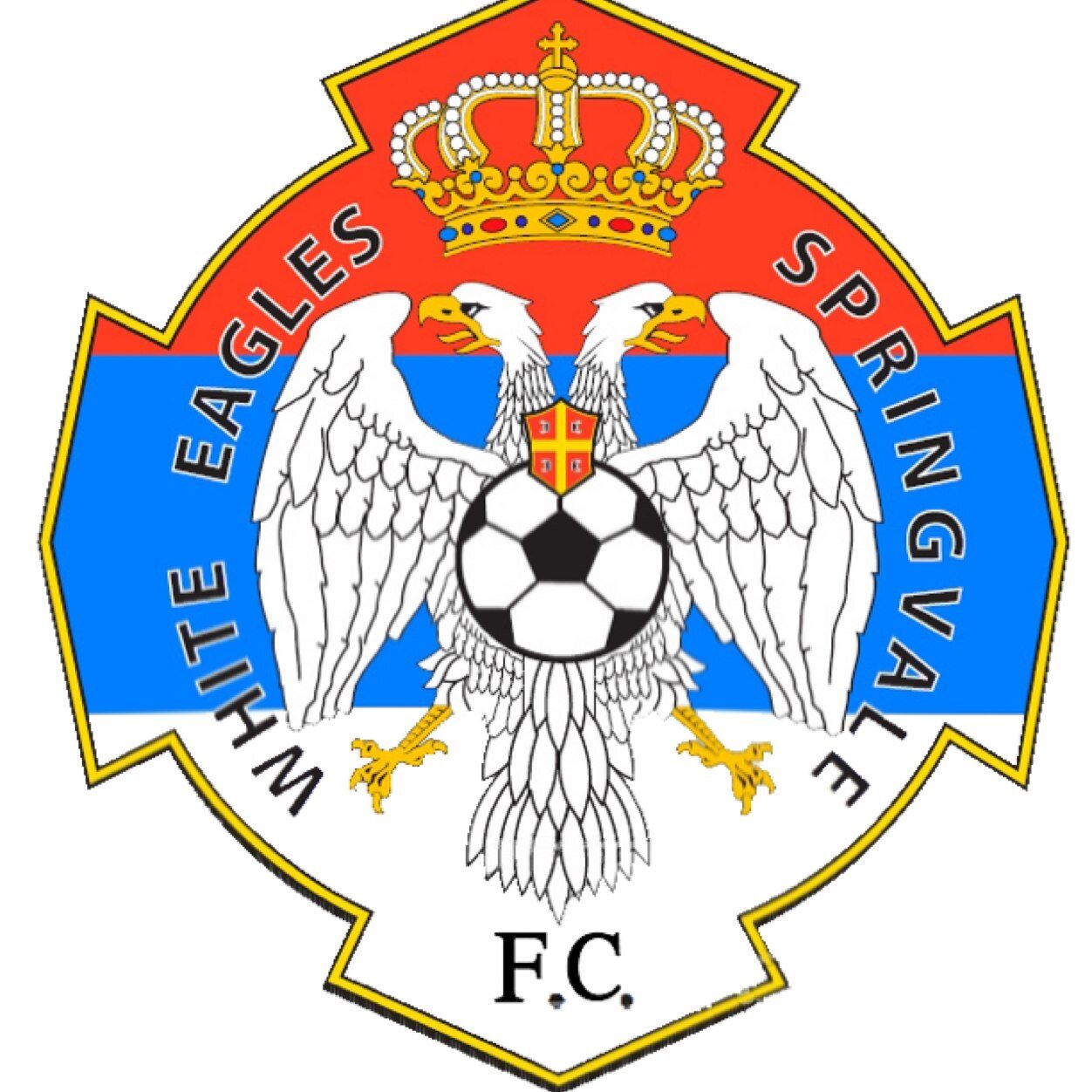 Springvale White Eagles FC is an Australian association football club based in Melbourne, currently playing in Victorian NPL1.