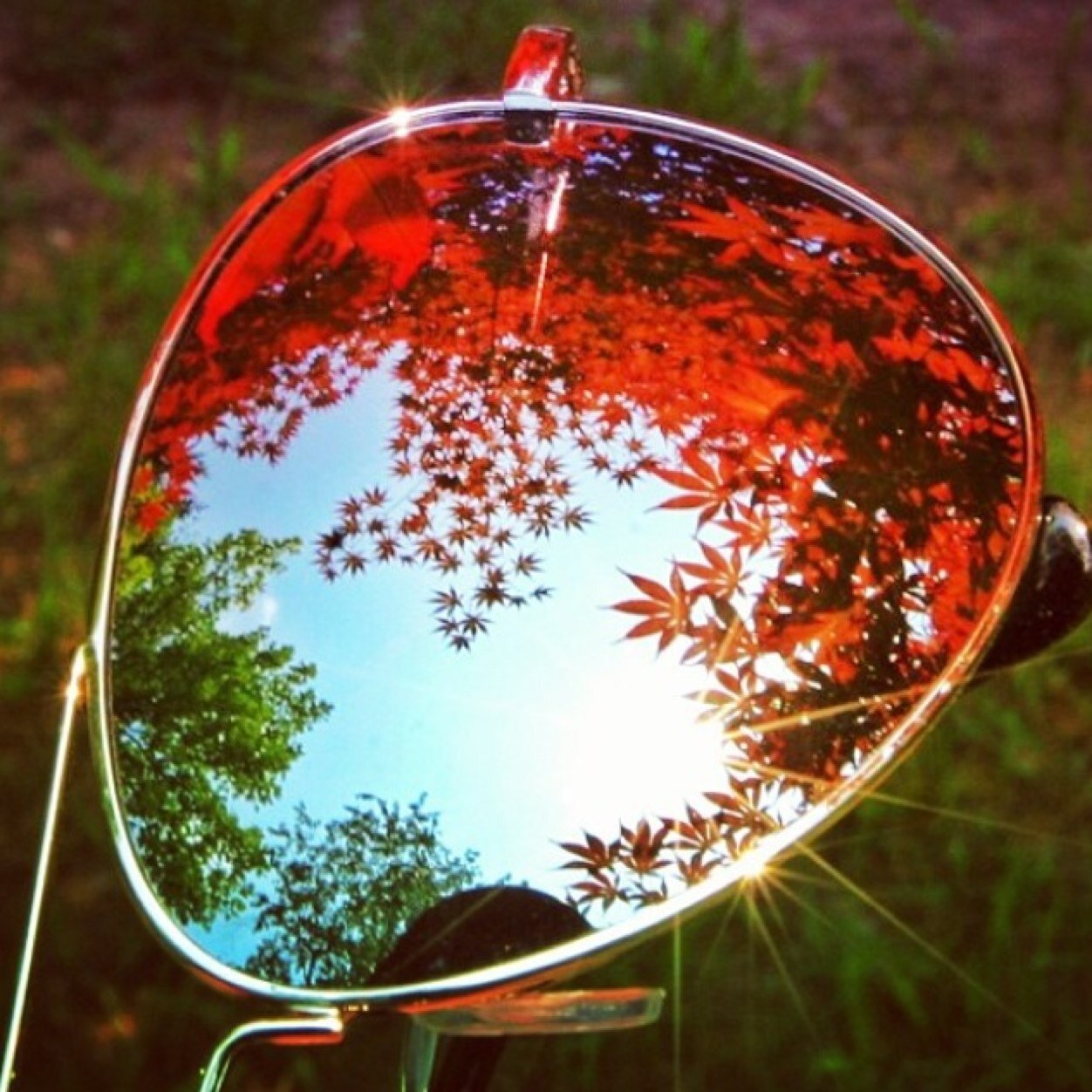 hind14100's profile picture. 