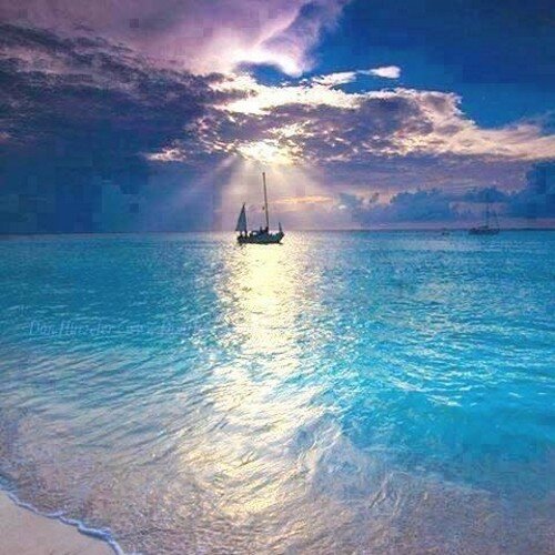 mehmety_m's profile picture. 