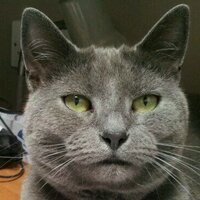 Ruby Tuesday (@ruthie0110) Twitter profile photo