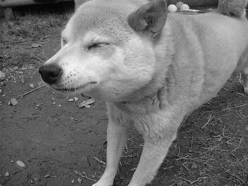 hanakoberu's profile picture. スニーカー、supremeなど。サウナも好きです。無言フォローすいません。気軽にゆるくよろしくお願いします！