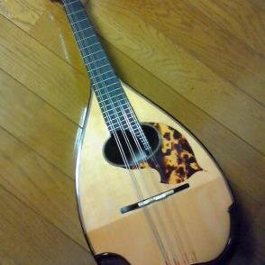 1979年「ひとり咲き」を初めて聴いた時一瞬で恋に落ちた。その気持ちはずっと変わらない。C&A大好き！迷想するFellows、幸せなChappy。浅田真央ちゃん、伊達公子さん、天海祐希さん大好き！ 変わらないトシちゃんが好き！毎日大谷翔平に癒されてる❣️マンドリン歴はずいぶん長い♪