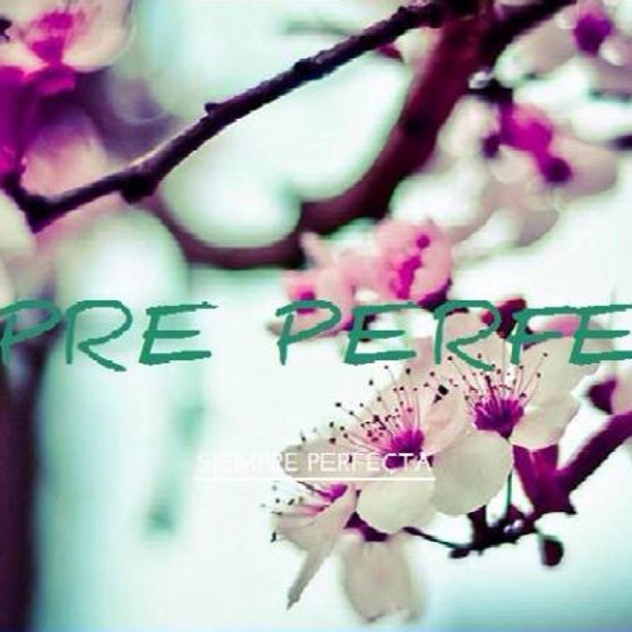 feelbeautyblog's profile picture. 