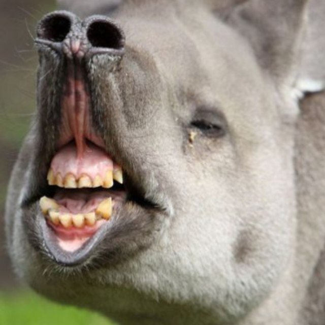 GamingARMYY's profile picture. A #FIFA PC Youtuber with over 2,000 #Subscribers, Join Da #MGARMY :) http://t.co/b3aqmw7Lub