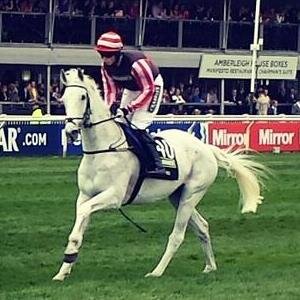 I follow U.S.A. & international horse racing .                                       70 year-old former member of the San Bernardino County Civil Grand Jury.