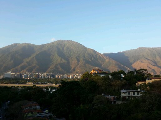 luigingala's profile picture. 