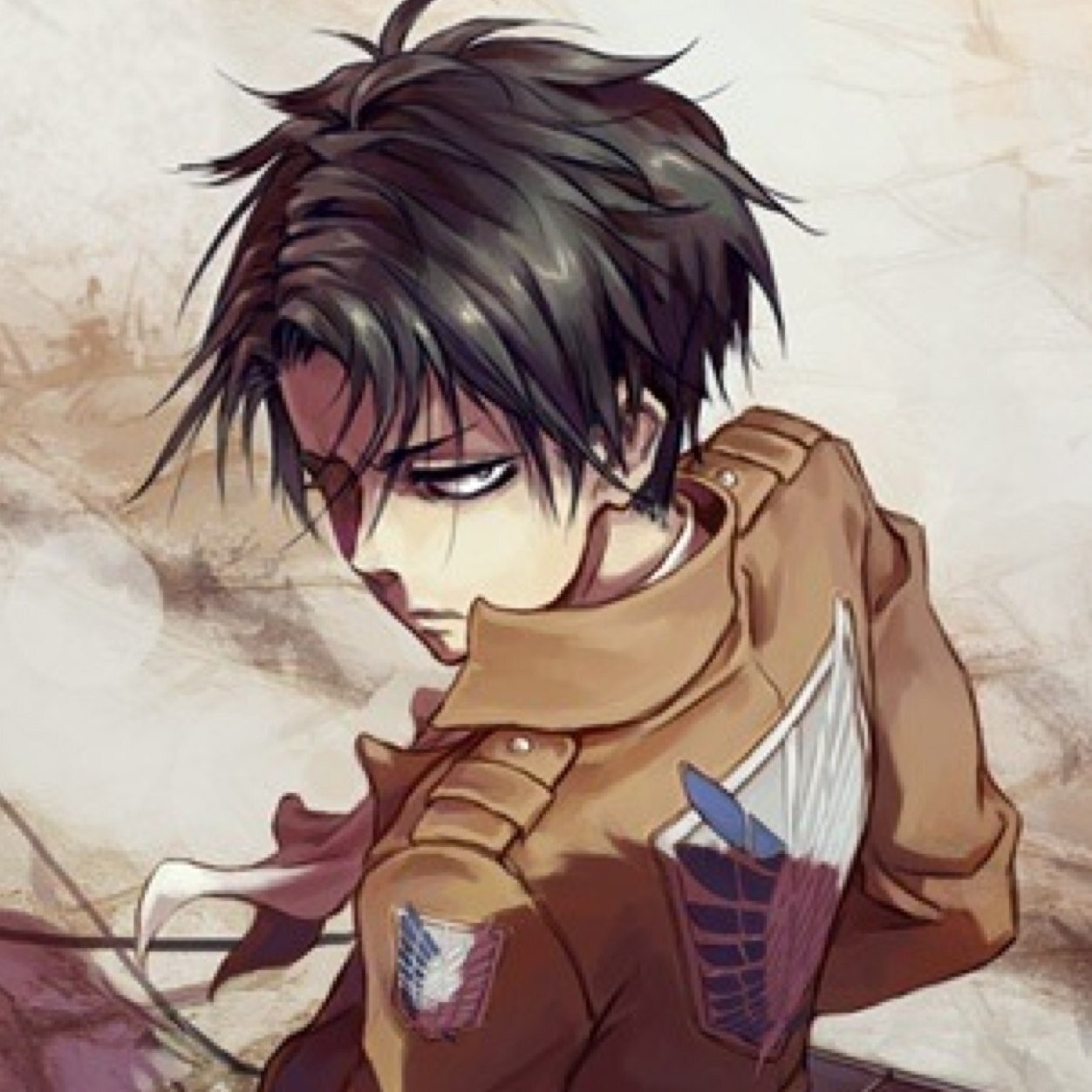 Captain Levi. Former Thug. Member of the Scouting Legion and Leader of the Special Operations Squad. To these monsters, we must first become monsters [SnkRP]