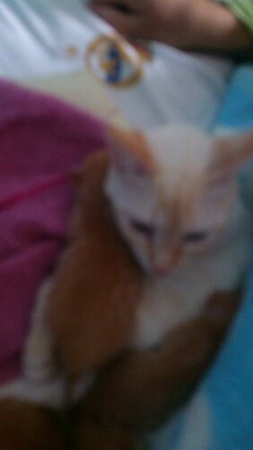 Soy david soy de illescas Seguirme xke mi otra cuenta david_smoking no.me se la contra