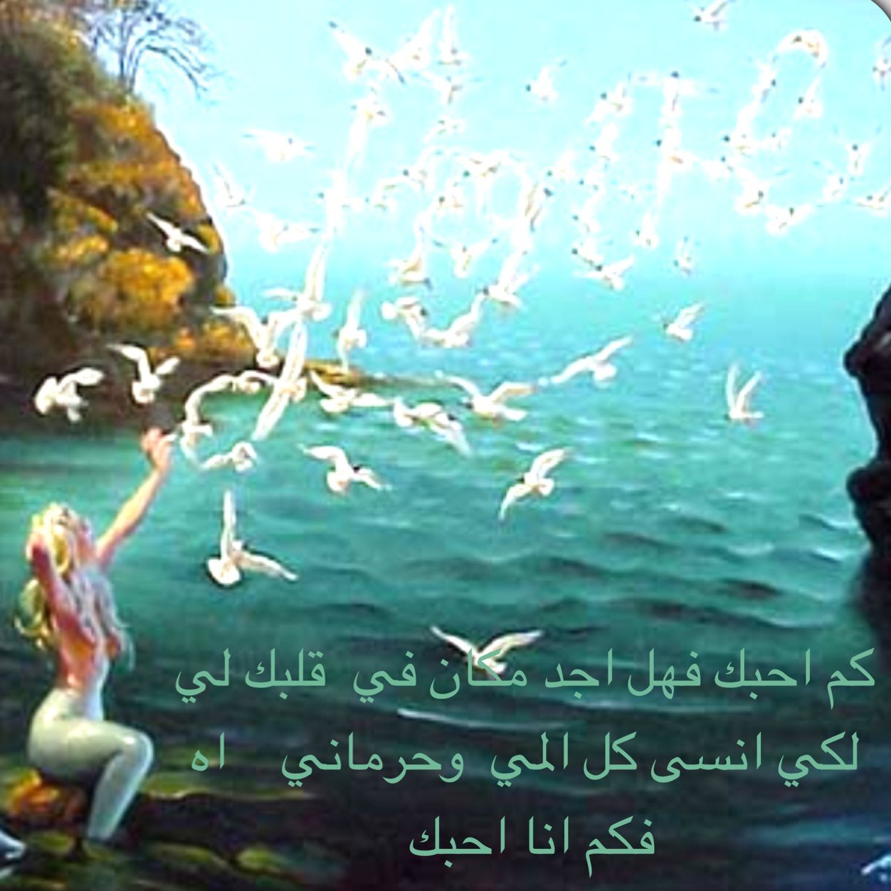 لانعرف معنا الحب بل معنا الحب هو احلى بكثيررررر من كلمت احبك