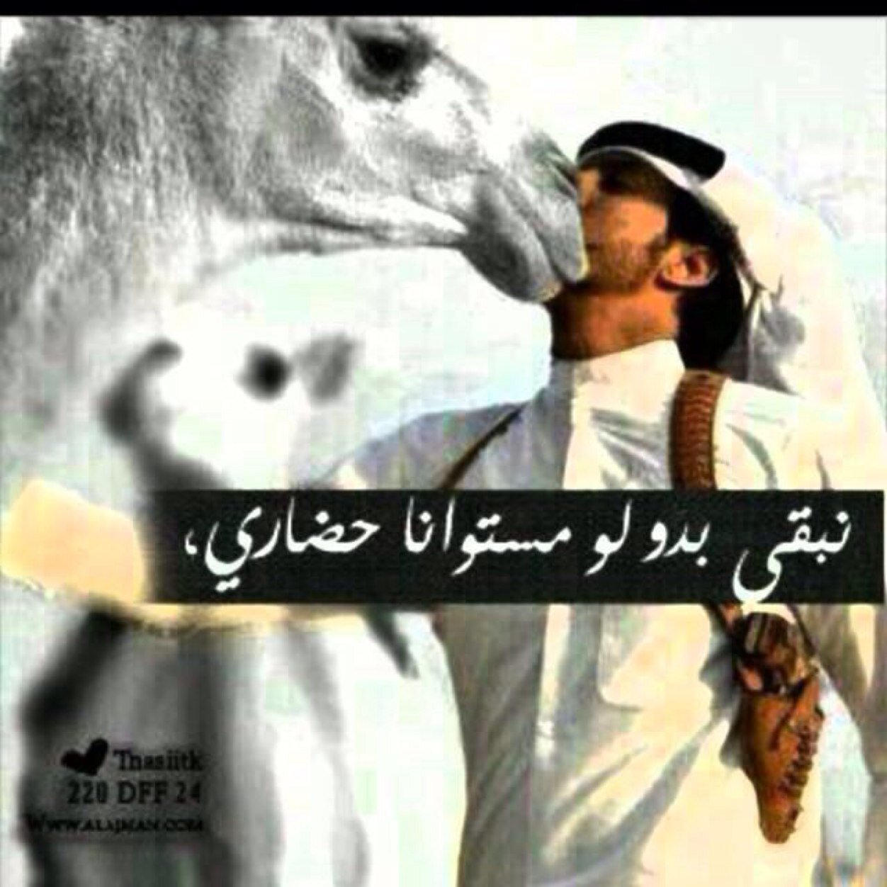  (مرشدي) واقدح من سعاطير رأسي ومن لا يجي بالطيب يتحمل عواقبها أنا ( كسر ) والمشكله لا شاش رأسي اسوق نفسي للـصعايب ماحسبها